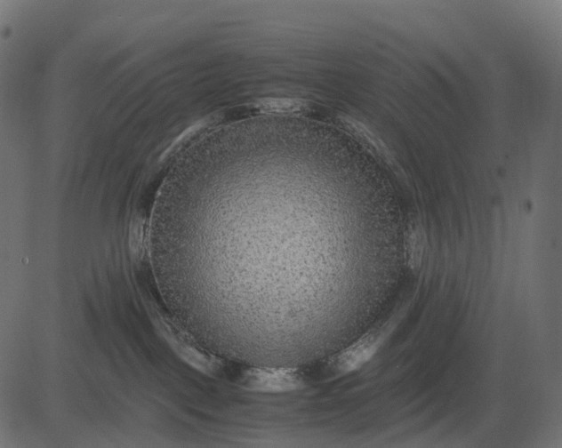 X0000082720093200702091823