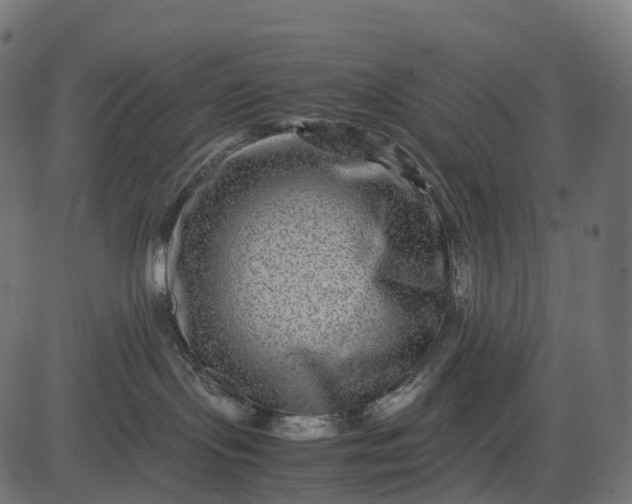 X0000082720095200702091823