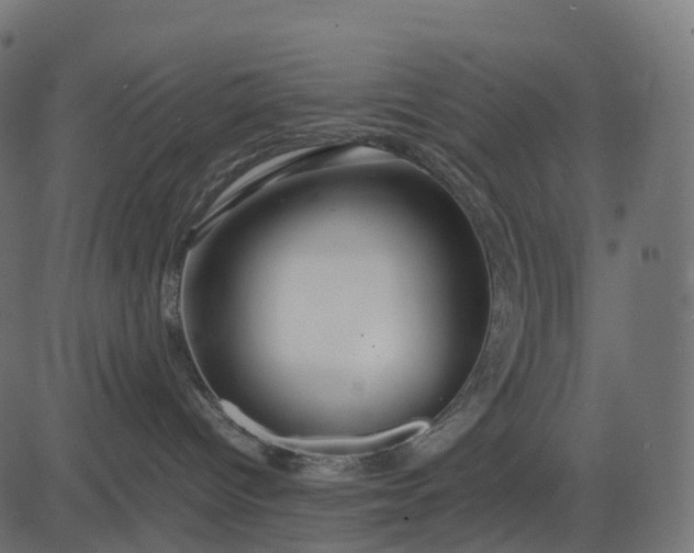 X0000082720096200702091823