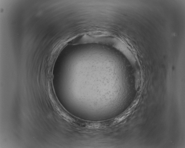 X0000082720097200702091823