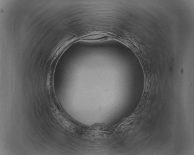 X0000082720098200702091823