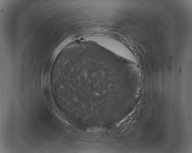 X0000082720099200702091823