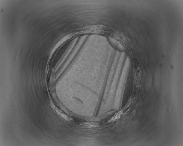 X0000082720100200702091823