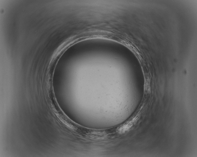 X0000082720101200702091823