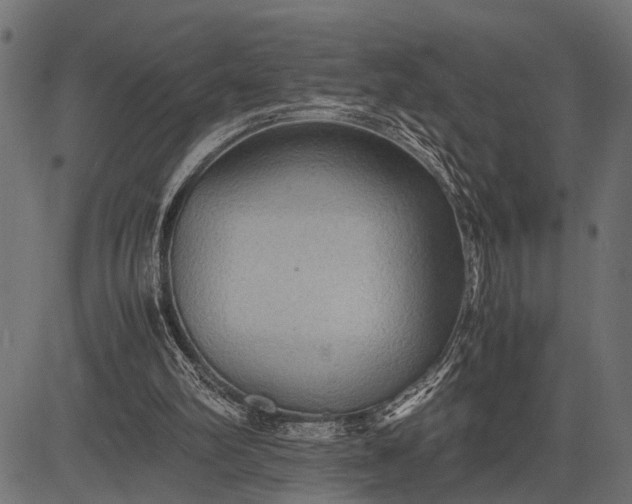 X0000082720102200702091823