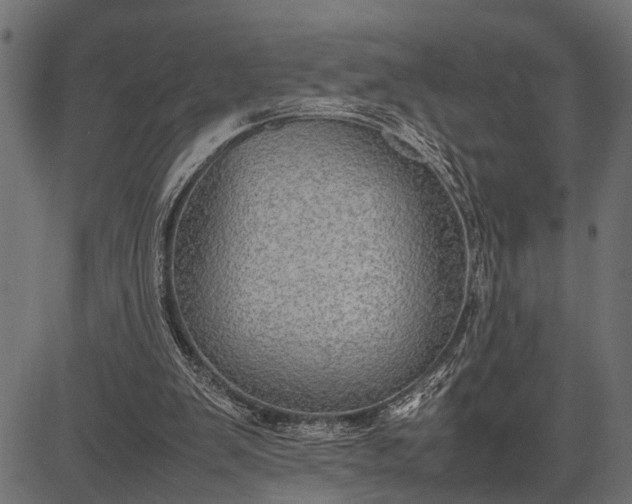 X0000082720103200702091822