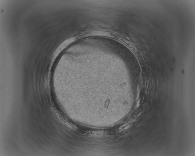 X0000082720104200702091822