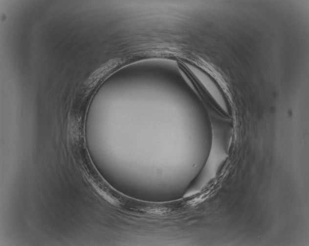 X0000082720105200702091822