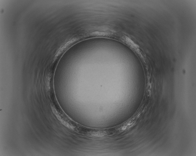 X0000082720106200702091822