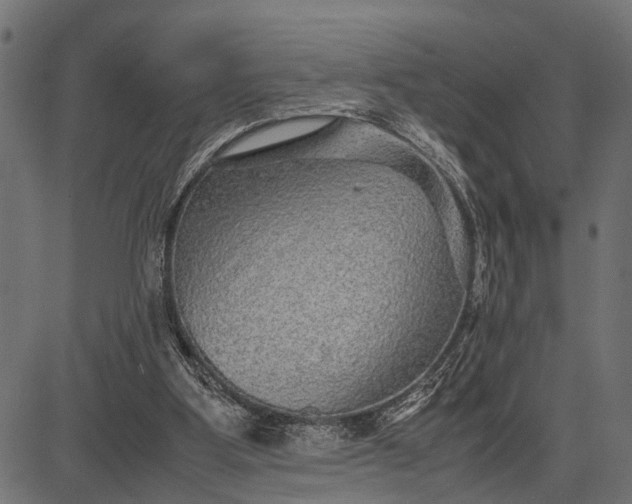 X0000082720107200702091822