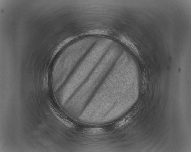 X0000082720108200702091822