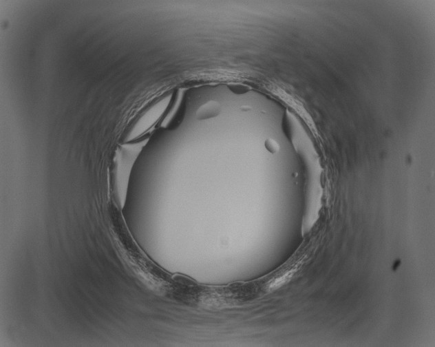 X0000082720109200702091822