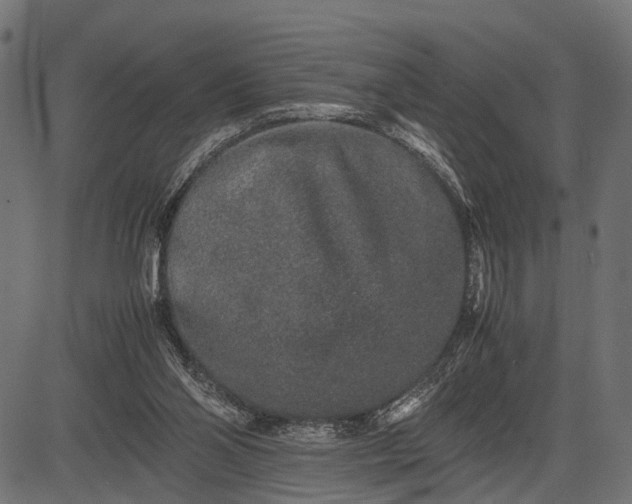 X0000082720110200702091822