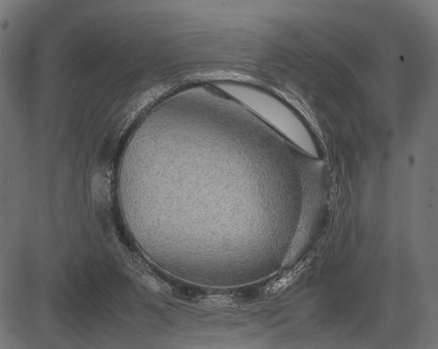 X0000082720111200702091822