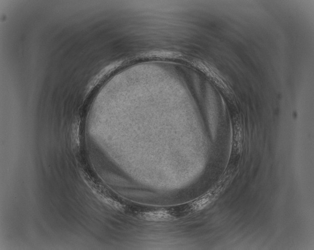 X0000082720112200702091822