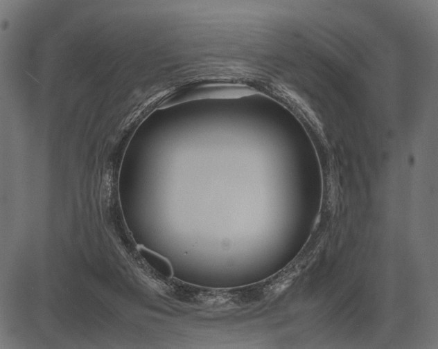 X0000082720113200702091822