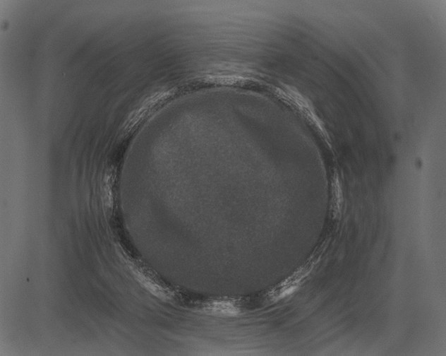 X0000082720114200702091822