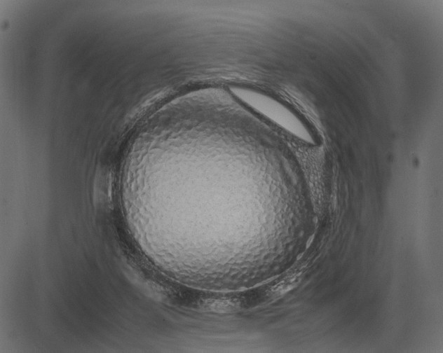 X0000082720115200702091822