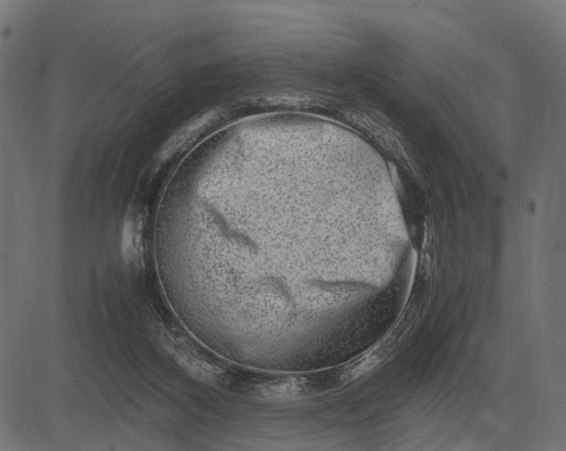 X0000082720116200702091822