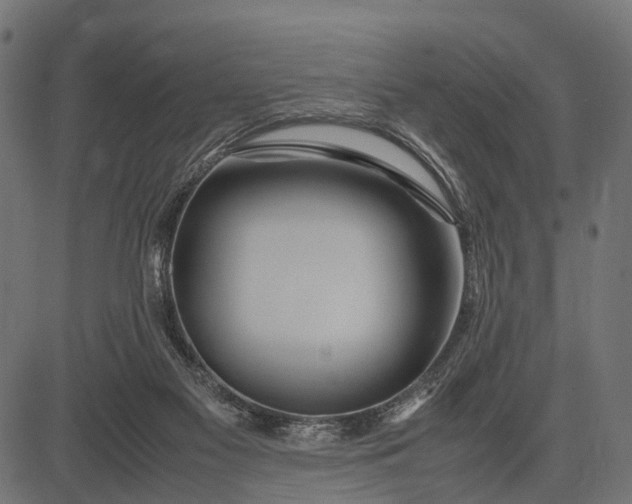 X0000082720117200702091822