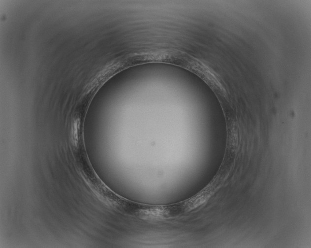 X0000082720118200702091822