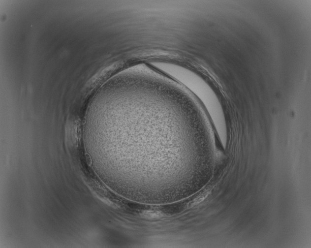 X0000082720119200702091822