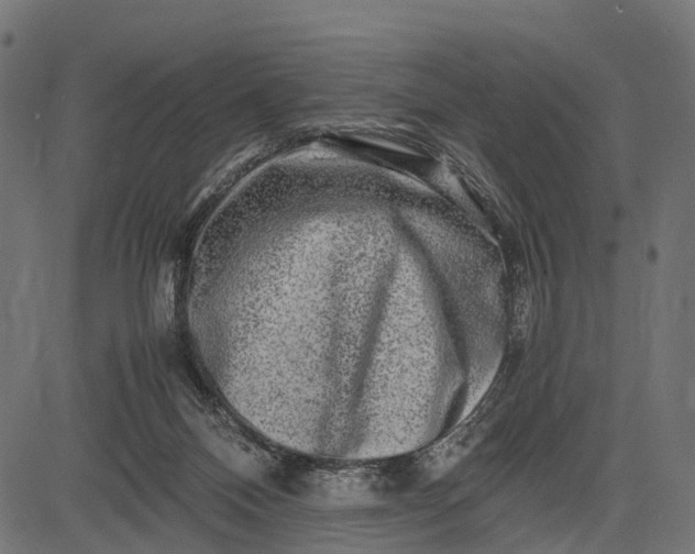 X0000082720120200702091822