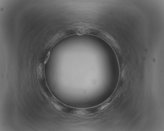 X0000082720121200702091822