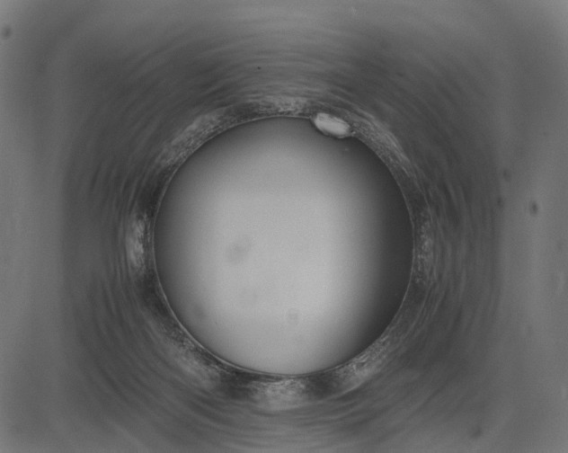 X0000082720122200702091822