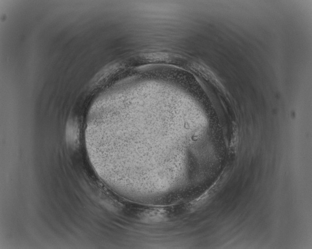 X0000082720124200702091822