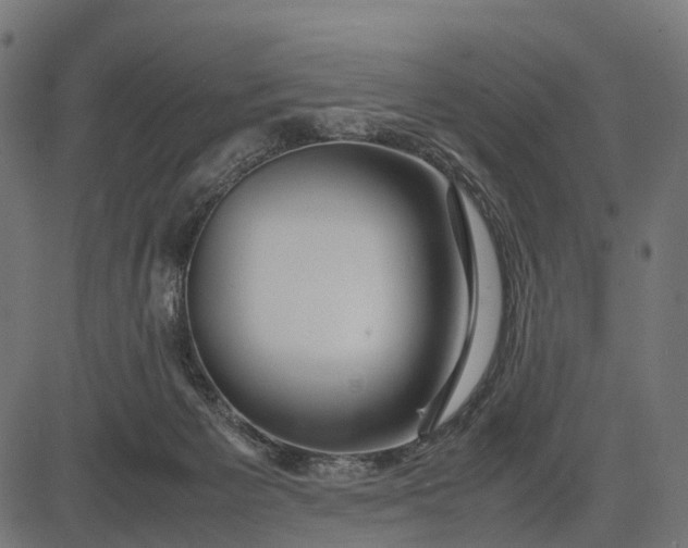 X0000082720125200702091822