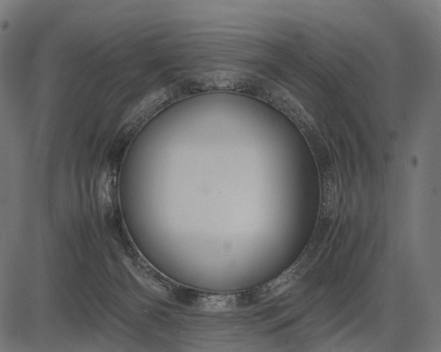 X0000082720126200702091822