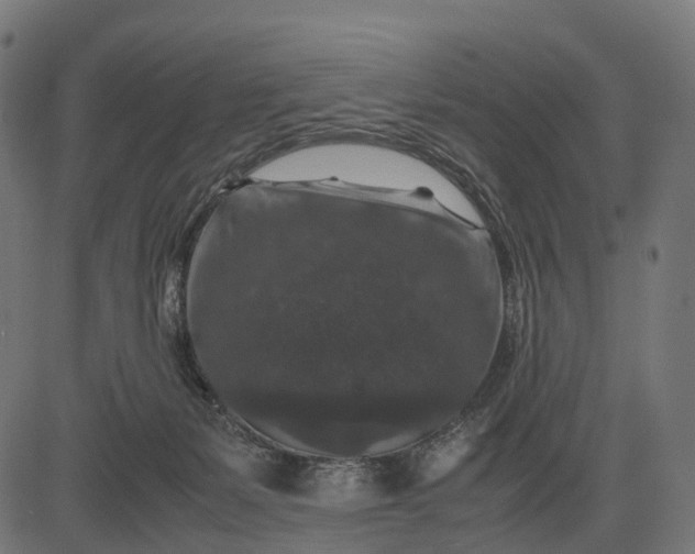 X0000082720127200702091822