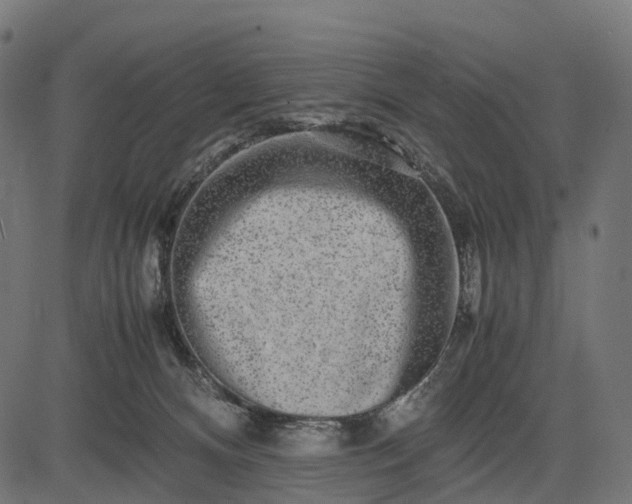 X0000082720128200702091822