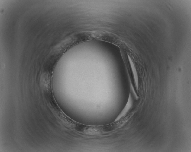 X0000082720129200702091822