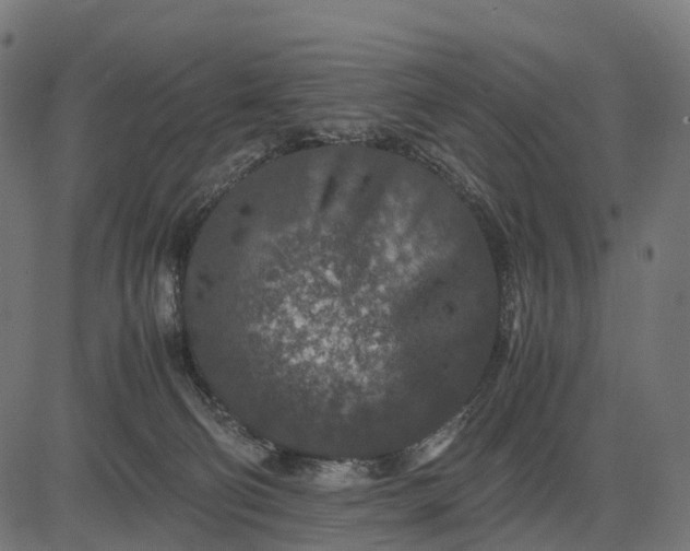 X0000082720130200702091822