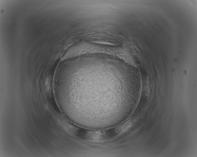 X0000082720131200702091822