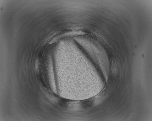 X0000082720132200702091822