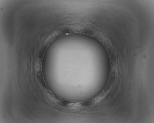 X0000082720133200702091822