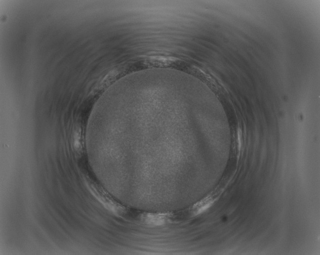 X0000082720134200702091822