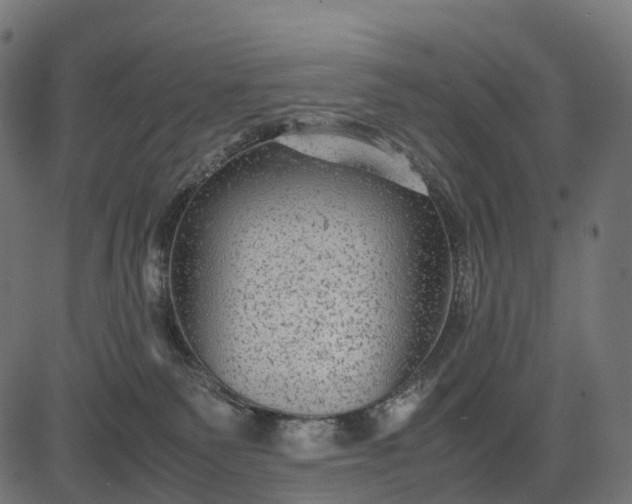 X0000082720135200702091822