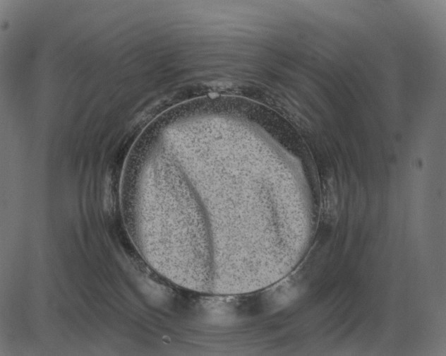 X0000082720136200702091822