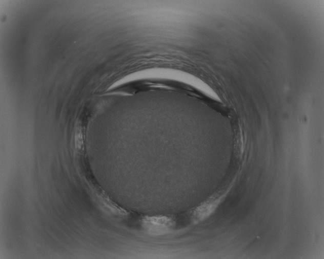 X0000082720137200702091822