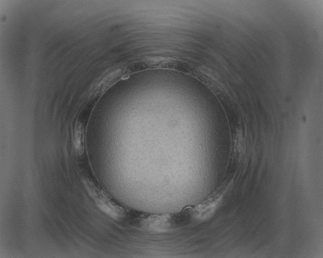 X0000082720138200702091822