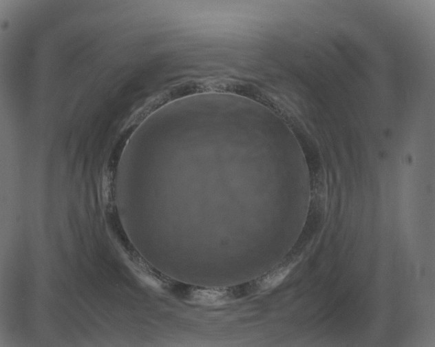 X0000082720139200702091822