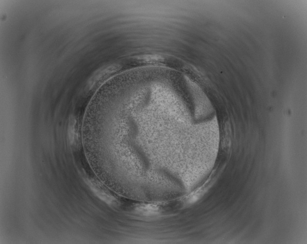 X0000082720140200702091822