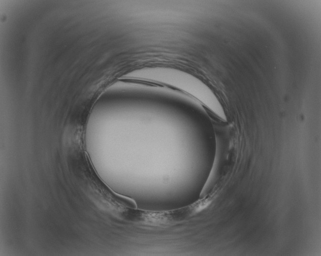 X0000082720141200702091822