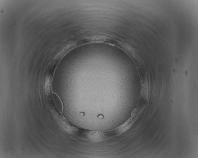 X0000082720142200702091822