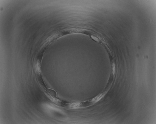 X0000082720143200702091822