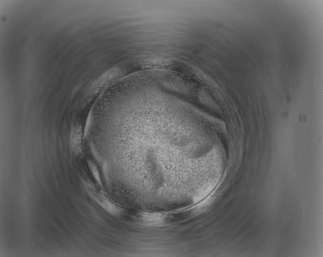 X0000082720144200702091822